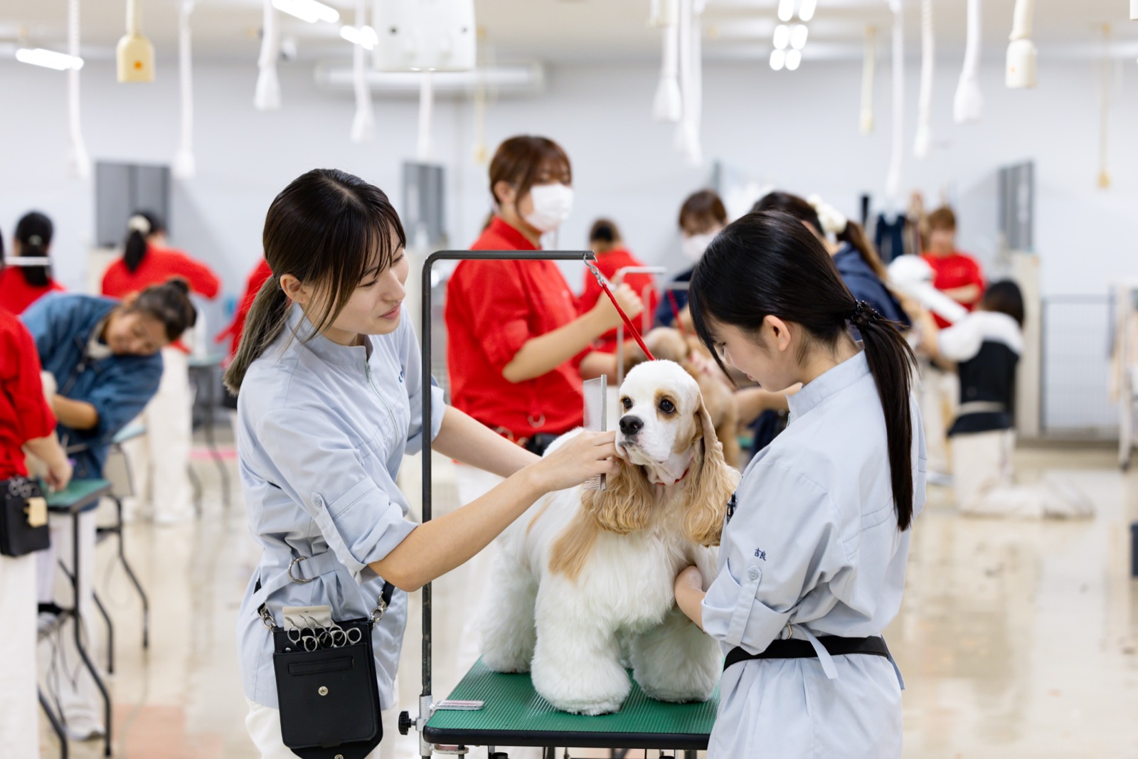 実践的なカリキュラム