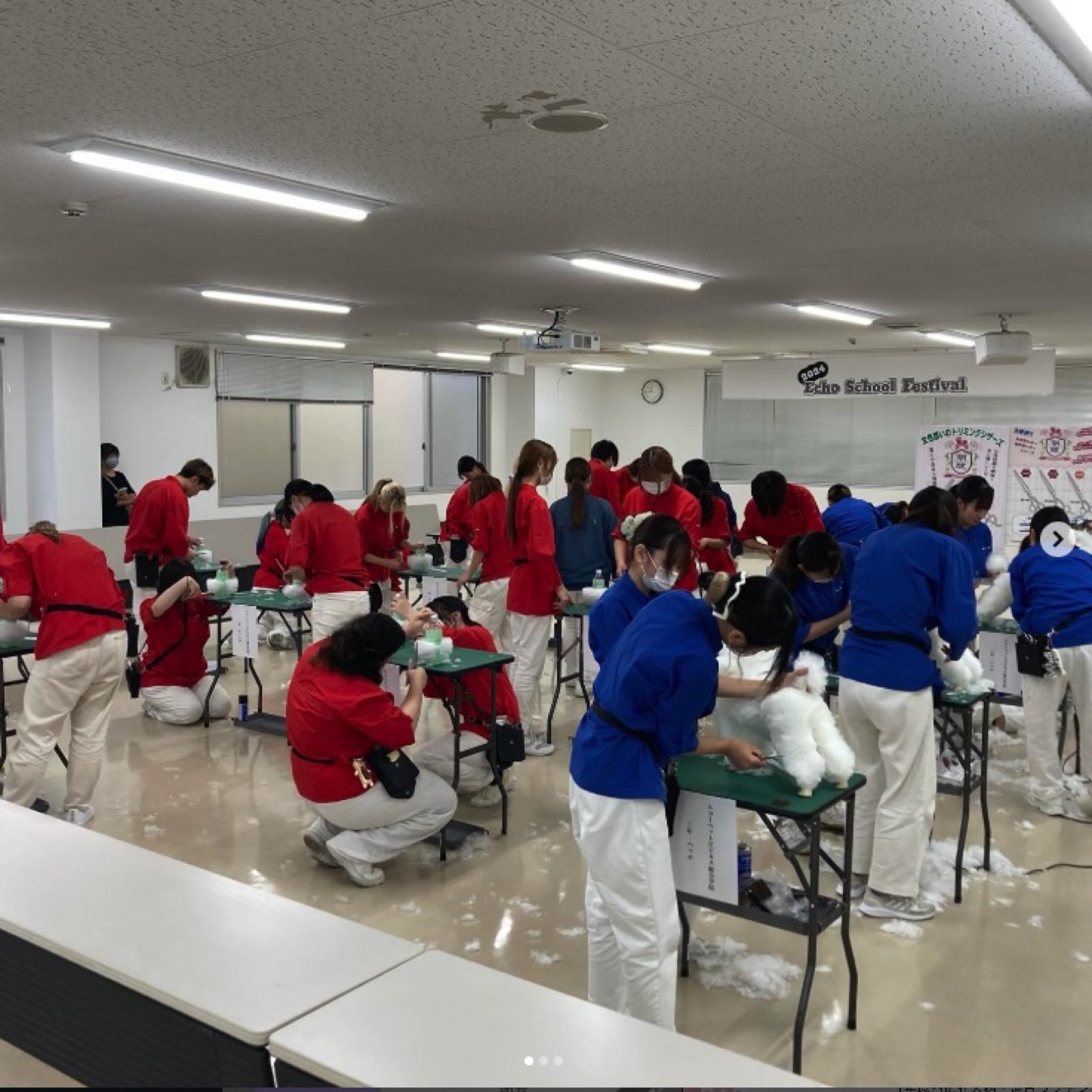 様々な犬種での実習